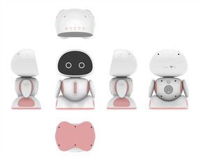 智能小型機器人銷售與服務咨詢，錢元供應，計算機網絡工程施工與設計